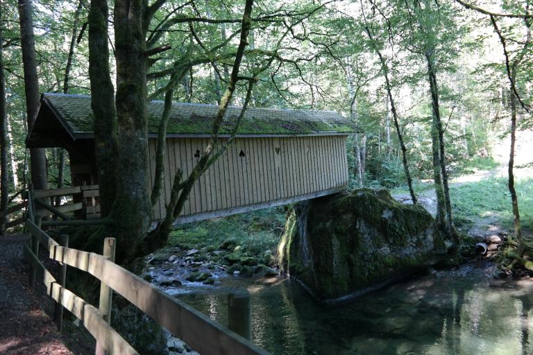 Pont couvert en bois de Bellevaux, dit pont piétonnier des Places