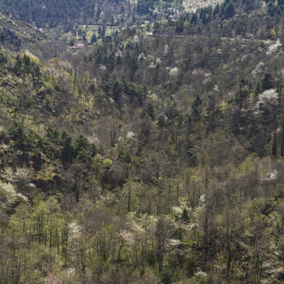 Présentation de la commune d'Essertines-en-Châtelneuf