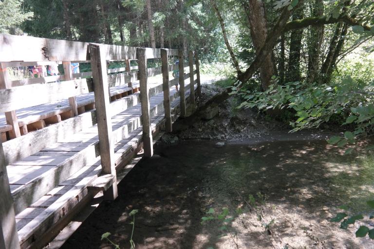 Passerelle dite pont du Banfin