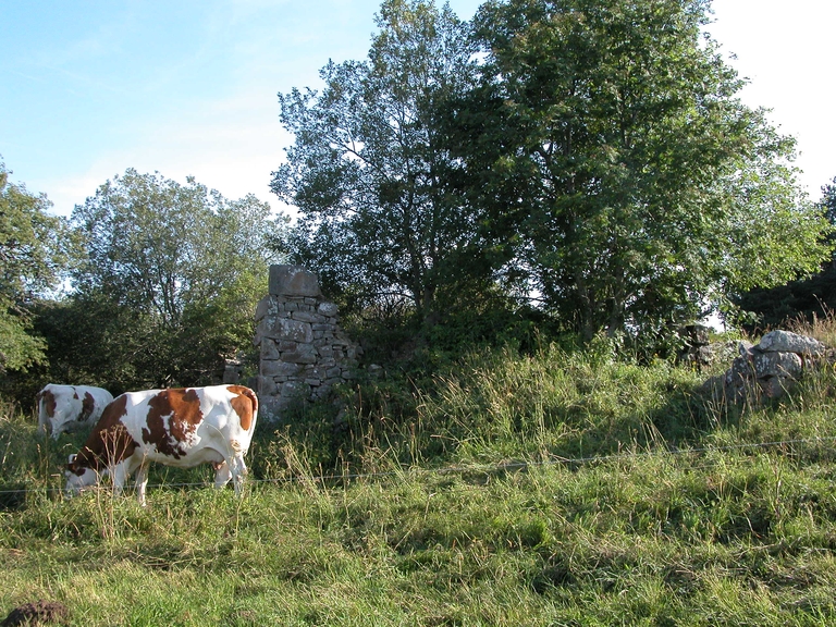 Ferme d'estive, dite jasserie