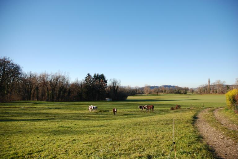 Présentation de la commune de Viuz-la-Chiésaz