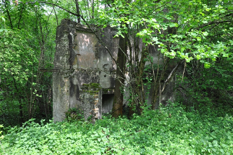 Moulin, scierie, battoir Picon