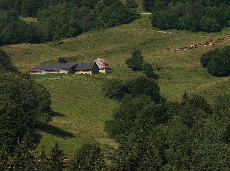 Le pastoralisme dans le Parc naturel régional du Massif des Bauges