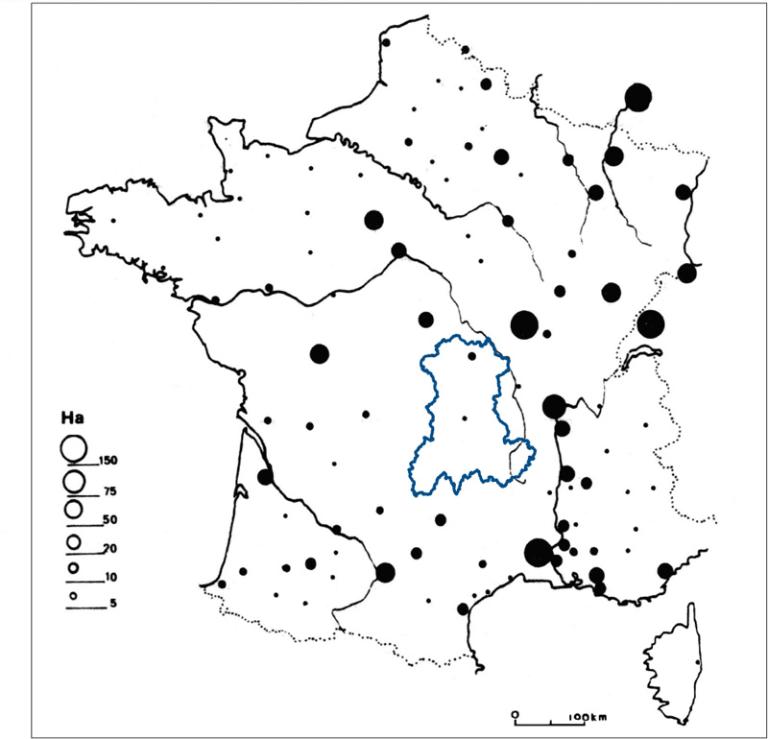 L'Auvergne des villes