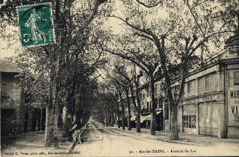 Avenue dite Route du Lac, puis Boulevard du Lac, puis Avenue du Port-Puer, actuellement Avenue du Grand-Port