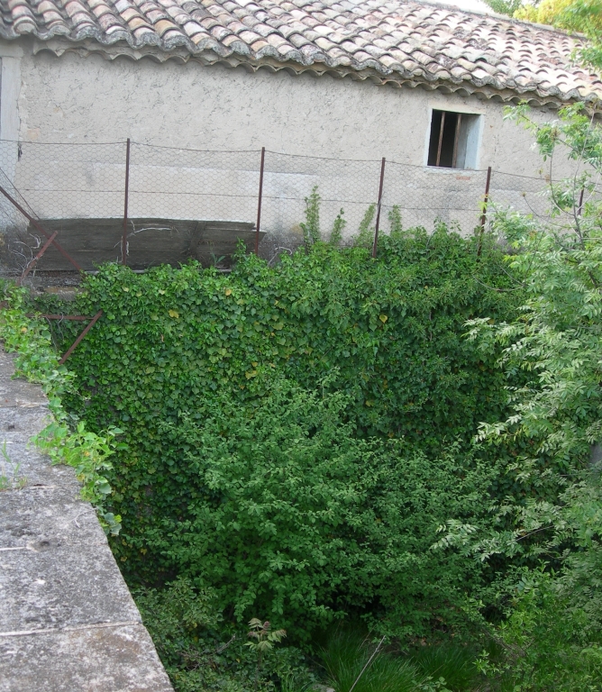 moulin à farine