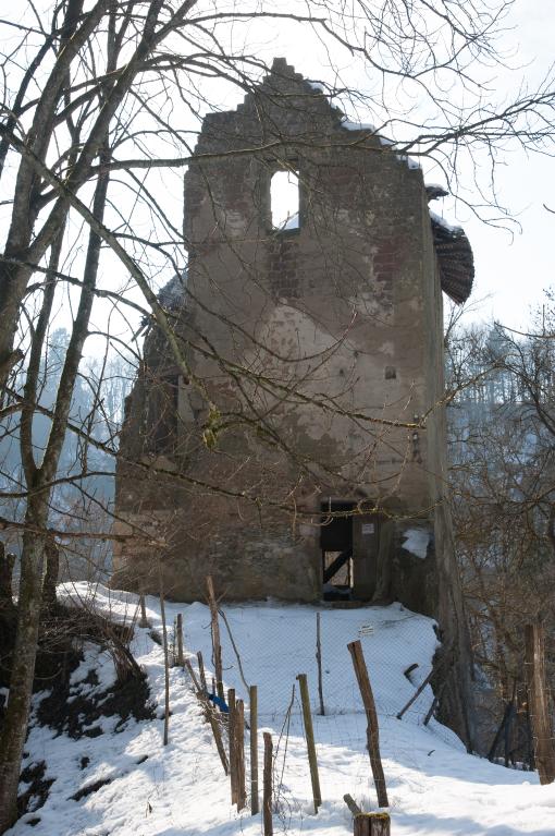 Maison forte, dite château de Pierre Charve