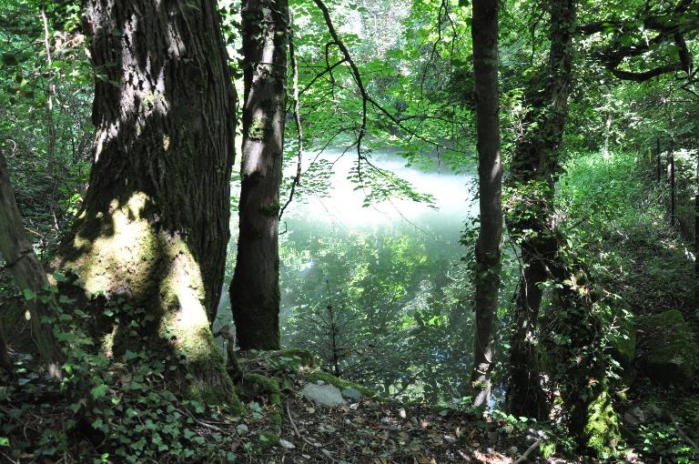 Foulon et battoir Paccard puis moulin à farine actuellement vestiges