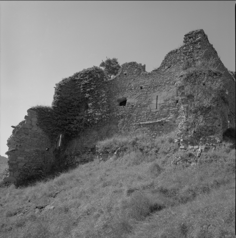 Château fort de Couzan