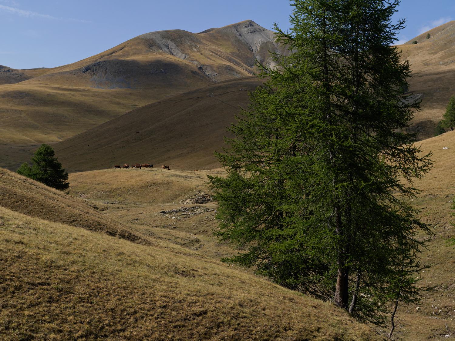 refuge de Longon