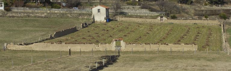 Cabane de vigneron, dite loge de vigne