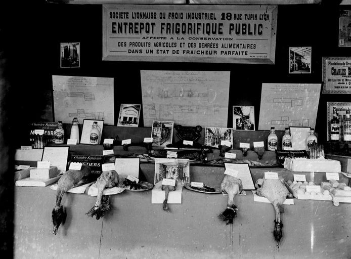 Usine frigorifique de la Société des Entrepôts Frigorifiques Lyonnais, actuellement société Socora