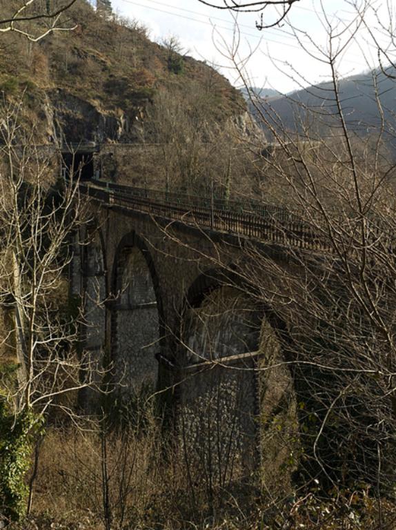 Ligne Clermont-Ferrand - Chabreloche - (Saint-Etienne)