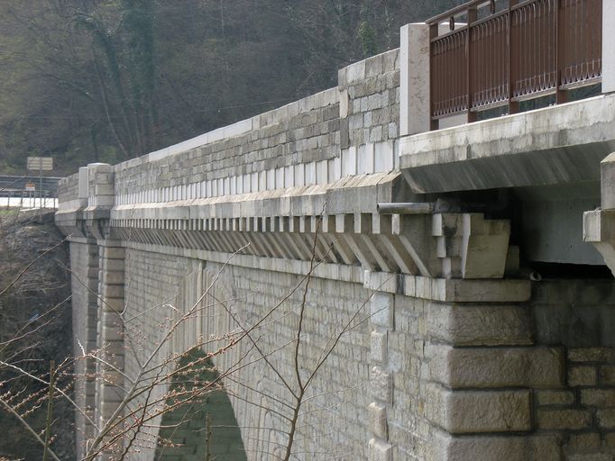 Pont routier Carnot