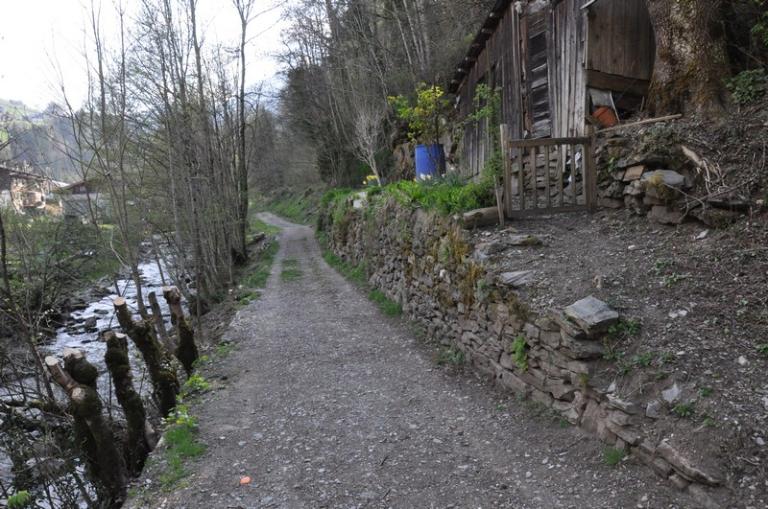 Moulin à farine, martinet, scierie, foulon, pressoir et battoir du Crey d'en Haut actuellement vestiges