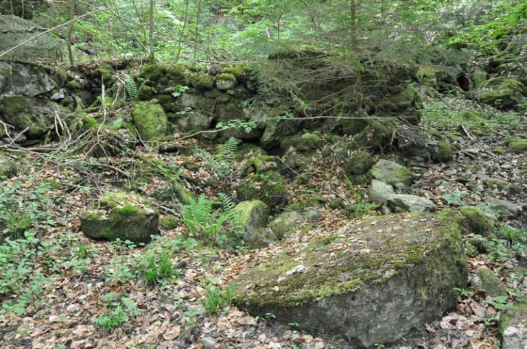 Moulin à farine et scierie Tournieux actuellement vestiges