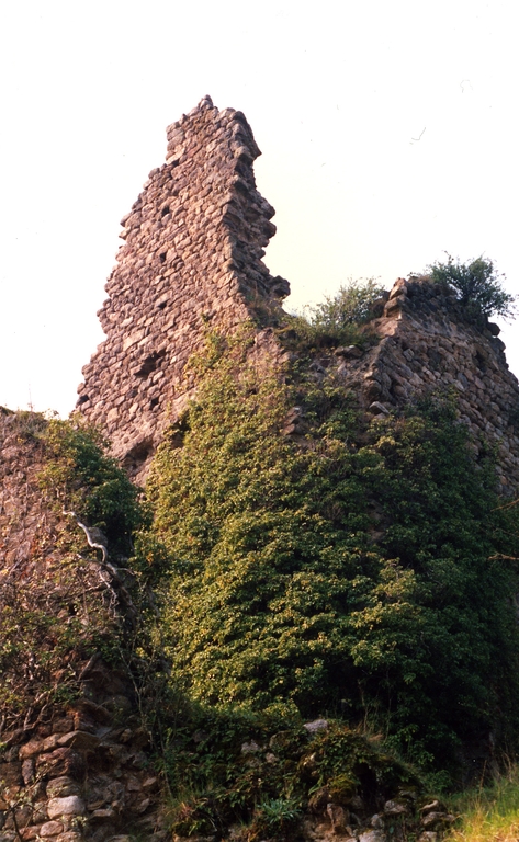 Château fort d'Ecotay