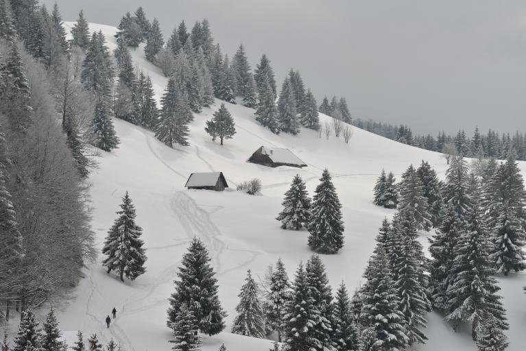 Les alpages de Saint-François-de-Sales