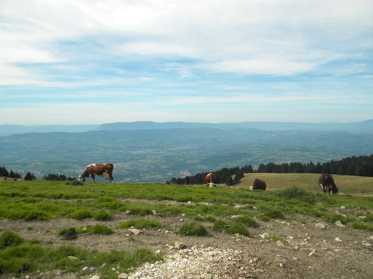 Les alpages du Semnoz [EN COURS]