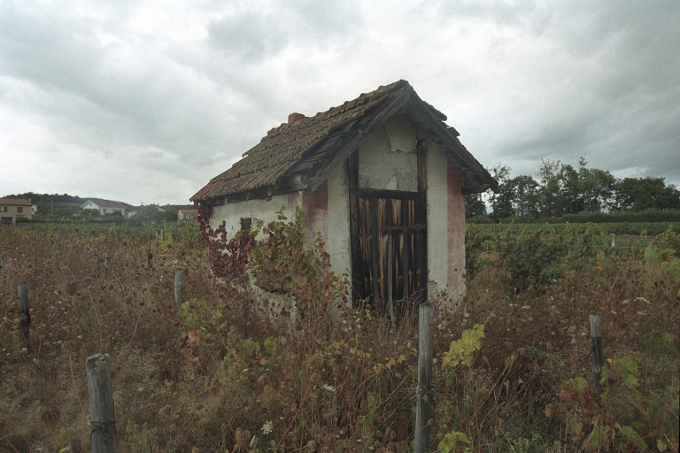 Les cabanes de vigne, dites loges de vigne, du canton de Boën et de la commune de Sail-sous-Couzan