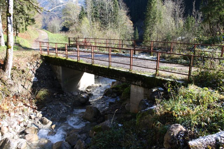 Pont des Meuniers