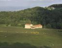 Ferme
