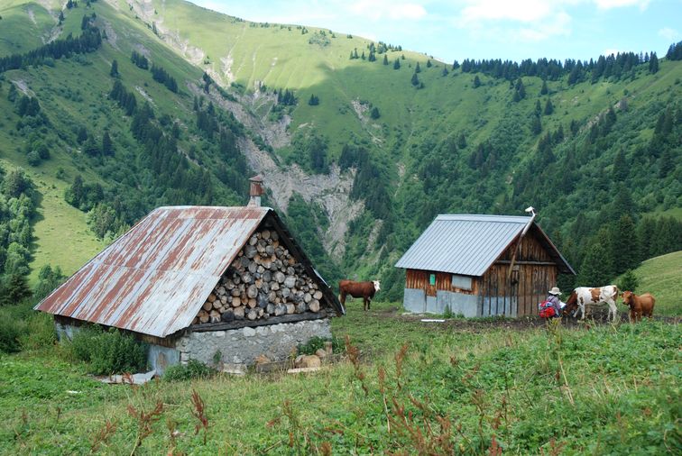 Chalets du Haut du Four