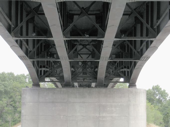 Pont routier de Montélimar