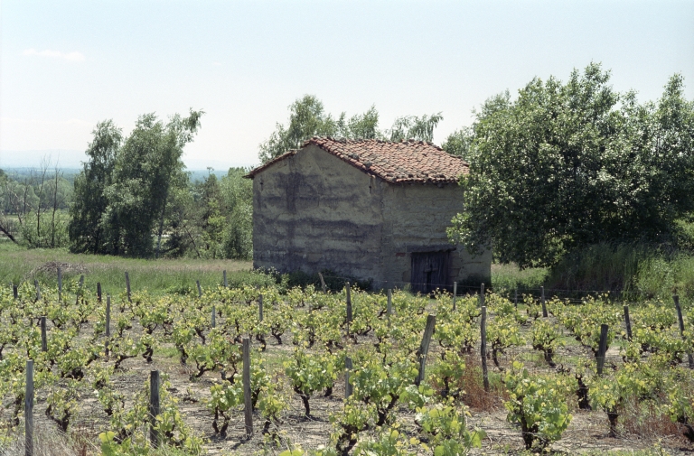 Les cabanes de vigne, dites loges de vigne, du canton de Boën et de la commune de Sail-sous-Couzan