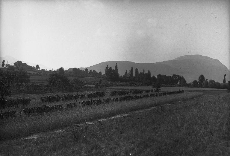 Maison et grange, puis demeure, dite château de Boncelin, puis château Joly Lyautey de Colombe ou château des Combaruches, actuellement tour de jardin, dite pigeonnier