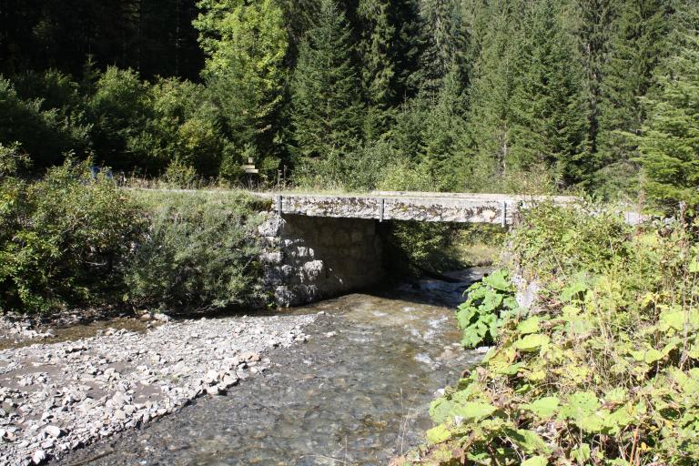 Pont de Chardonnière