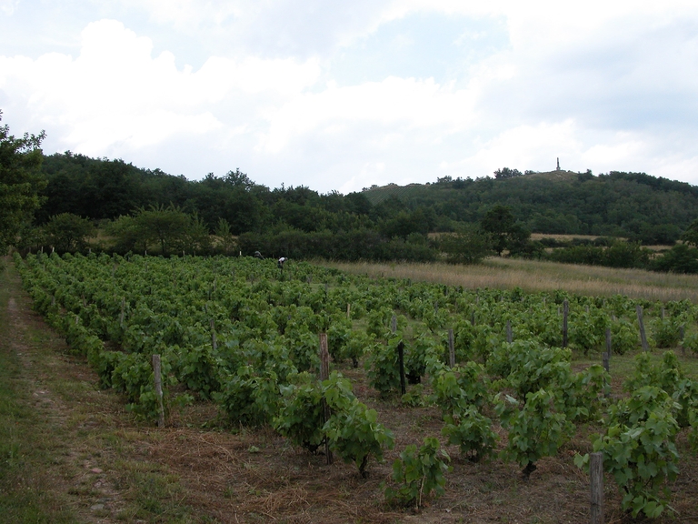 Cabane de vigneron, dite loge de vigne