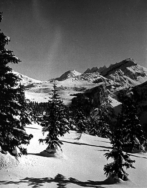 Station de sports d'hiver : Avoriaz