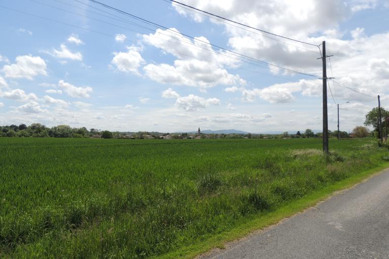 Présentation de la commune de Savigneux