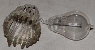 Ensemble d'ampoules (48) et cache-ampoule (3)