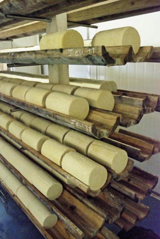 Fourmes couchées sur des chenaux percés en bois d’épicéa. Fromagerie des hautes chaumes, Hubert Tarit.