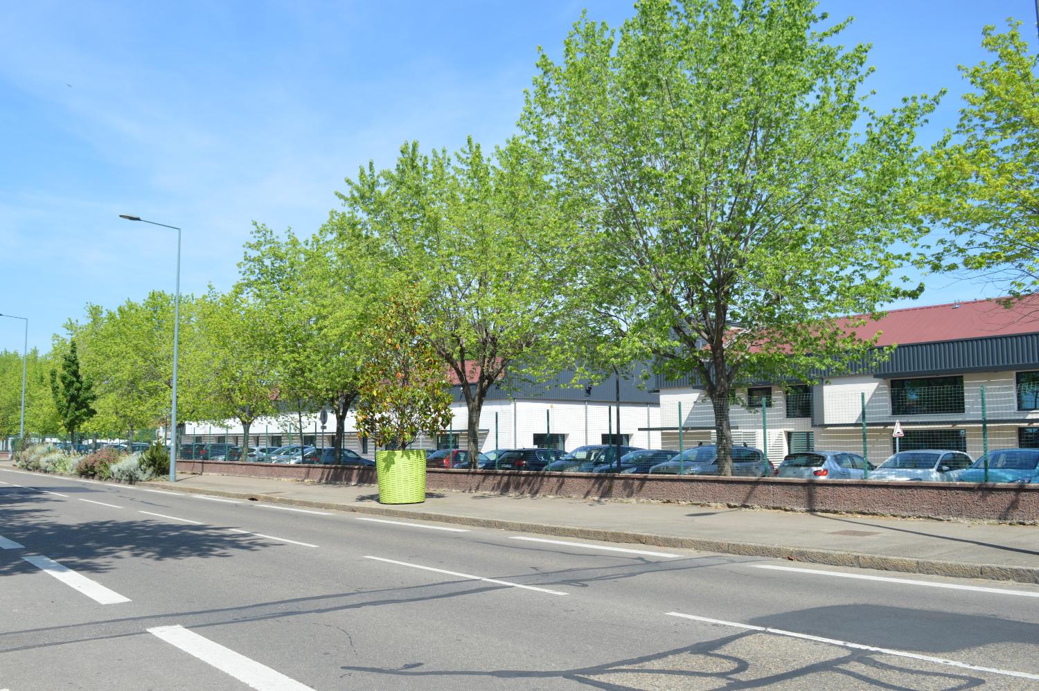 Société Française de Tubize (1924) puis Rhodiaceta (1951) avec cité ouvrière puis Parc d'Activités du Moulin à Vent actuellement Green Campus Park et cité ouvrière