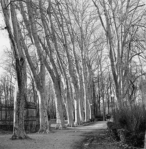 Parc de la Tête d'Or