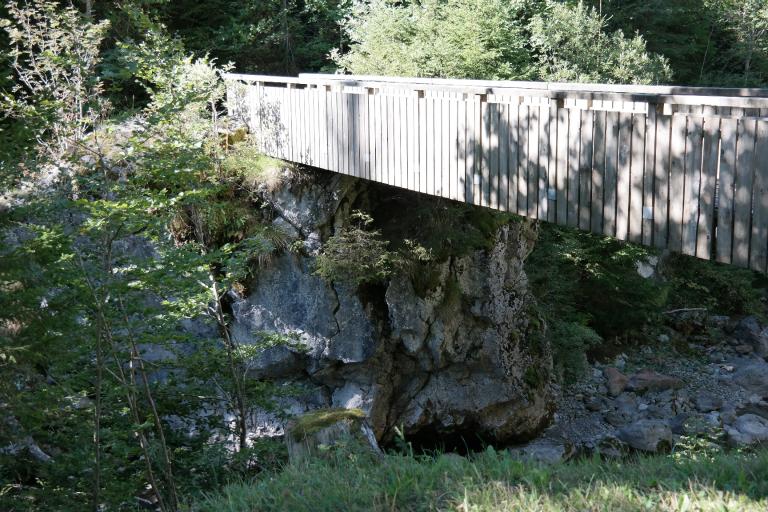 Passerelle piétonne de Porte