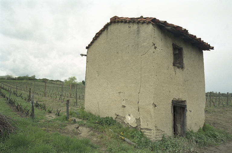 Les cabanes de vigne, dites loges de vigne, du canton de Boën et de la commune de Sail-sous-Couzan