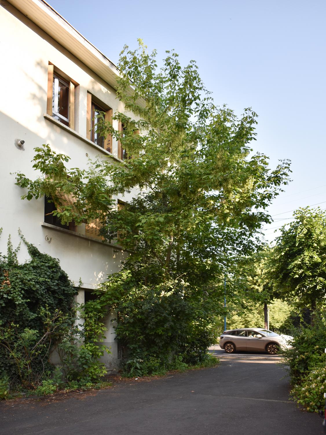 immeuble
