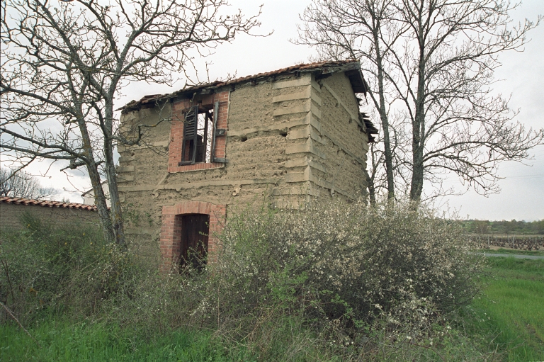 Les cabanes de vigne, dites loges de vigne, du canton de Boën et de la commune de Sail-sous-Couzan