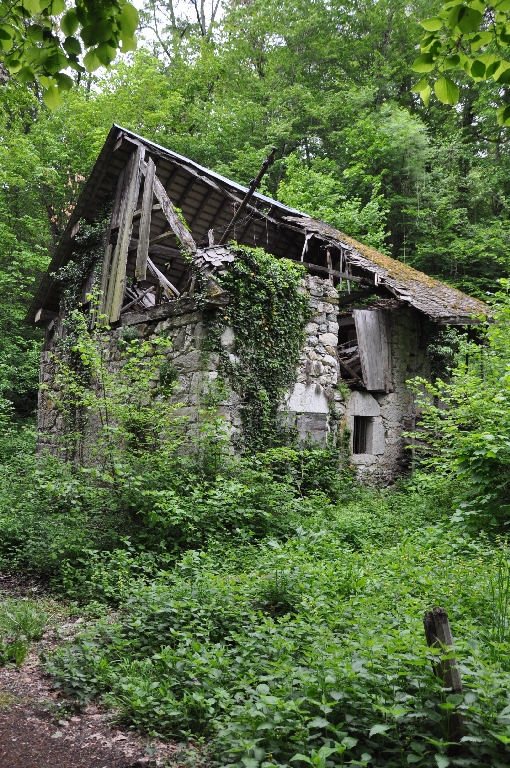 Scierie Blanc puis moulin et battoir Exertier