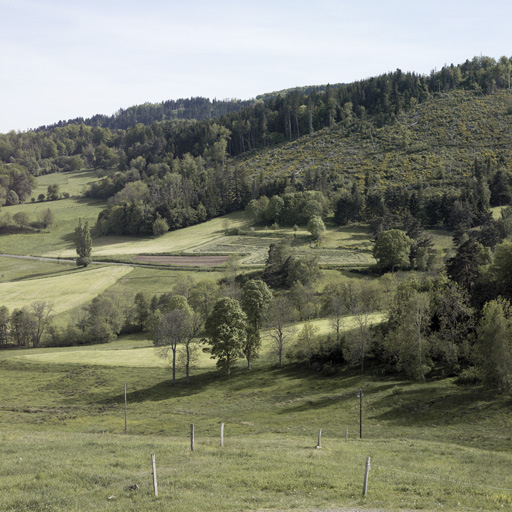 Présentation de la commune d'Essertines-en-Châtelneuf