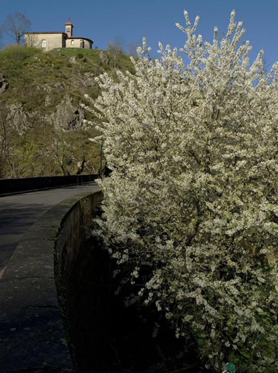 Avenue Pierre-Guérin et avenue Joseph-Claussat