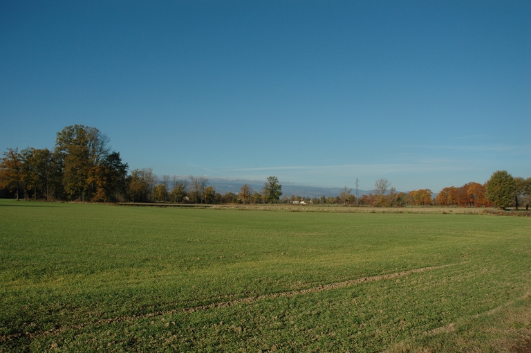 Présentation de la commune de Précieux