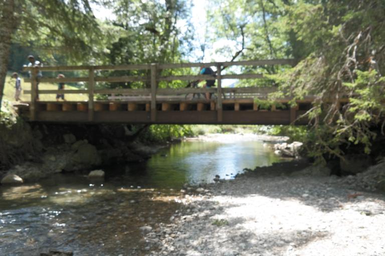 Passerelle dite pont du Banfin