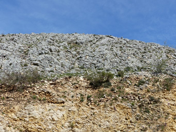 Site archéologique de Macuègne Bas. Plate-forme castrale, versant sud. Vestiges du mur d'enceinte, vue prise du sud.