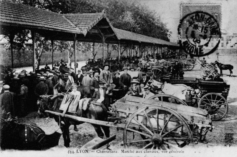 Marché aux chevaux