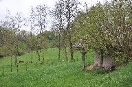 Moulin des Bernardines de Rumilly puis moulin de Pommerey dit Dumas